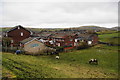 Horses grazing on the edge of Wardle