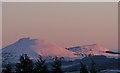 Last light hits the Eildon Hills as seen from Manse Street