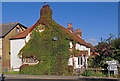 Laurel Cottage and Rose Cottage