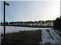 Bridleway to North Court Plantation