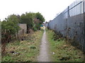 Footpath, Daisy Hill