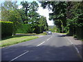 Lower Road Fetcham