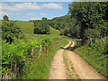 Track to Pinnock Farm