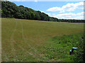 Farmland, Lacey Green