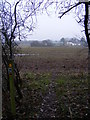 TM3665 : Footpath to Lonely Farm & Rendham Road by Geographer