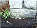 Benchmark on wall pier of cemetery, Newstead Road