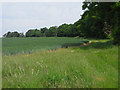 Farmland, Hurstbourne Tarrant