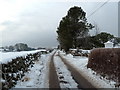 Snowy lane from Auchensheen (Dumfries)