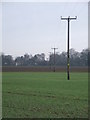 Poles Across The Fields