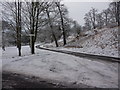 Track in the grounds of Waddow Hall