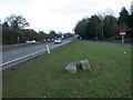 Ringwood, milestone