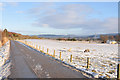 Minor road and sheep grazing near Beauly