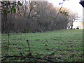 Field with tractor by Ifold Copse