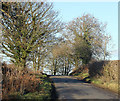 2011 : Hollybush Lane, near Leigh on Mendip