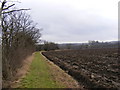 TM3469 : Segmore Lane footpath to the A1120 Badingham Road by Geographer
