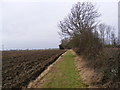TM3469 : Segmore Lane footpath to Mill Road by Geographer