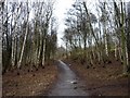 Reddish Vale Country Park