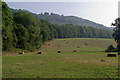 Field by the A25