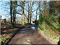 Footpath 1983 approaching Toatwood Farm