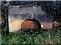 Water Spring at Lower Kingcombe