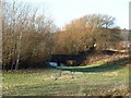 Small bridge over backwater of River Tame