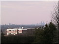 Eltham Palace: view towards the City