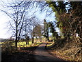 Road to Newcombe Farm