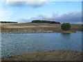 SU6294 : Duck Pond near Berrick Prior by Des Blenkinsopp
