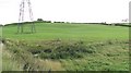 Grassland, Herdshill