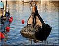 Dredging the River Lagan, Belfast  -  2010/11 (102)