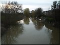 The River Mole, looking upstream, early spring