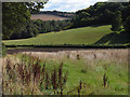 Farmland, Bentworth