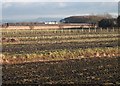 Where your Christmas sprouts were grown.