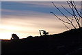 Reilly Quarry now Landfill