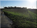 Footpath to Colfir Farm