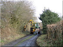 TM4177 : Trimming the hedges at Blyford, Suffolk by Adrian S Pye