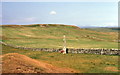 The taller standing stone at Ballinaby