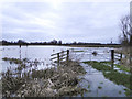 Flooded Marshes at Eastbridge