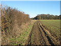 Byway to Ingleton Wood