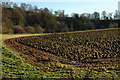 Arable land by Playford Bridge