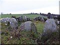 H3488 : Chambered Grave at Clady Hill by Kenneth  Allen
