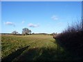 Footpath near Linley Brook