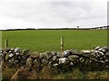 Stone wall, Kilreal Lower