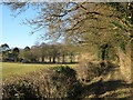 Byway to Lockeringe Wood