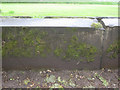 Bench mark on Sefton Park perimeter wall