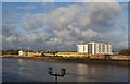 Thames-side buildings opposite Wandsworth