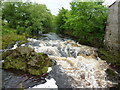 River Ribble near Kings Mill Lane, Settle