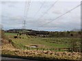 NZ1066 : Pylons by the A69 by Oliver Dixon
