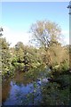 Bredbury and Romiley : River Goyt