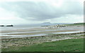 Cattle on the beach at Blackrock